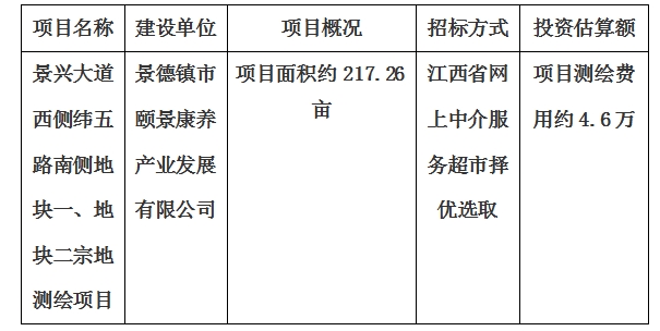 景興大道西側(cè)緯五路南側(cè)地塊一、地塊二宗地