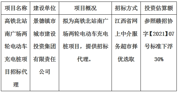 高鐵北站南廣場兩輪電動車充電樁項(xiàng)目招標(biāo)代理計劃公告